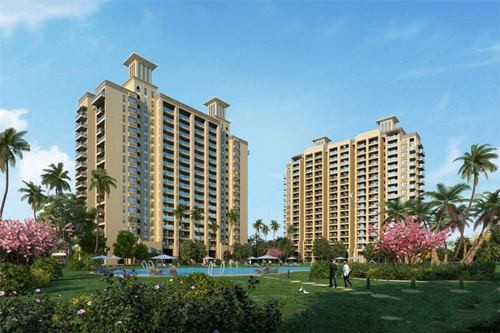 鸿沧黑芝麻糕点