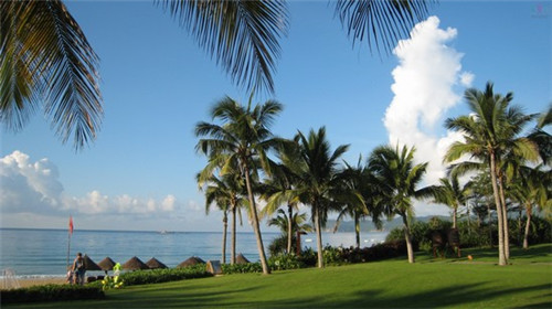 张老汉手工酸辣粉一年有多少利润