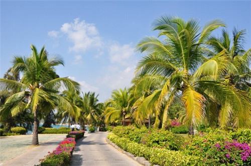 火锅店设计餐桌尺寸标准