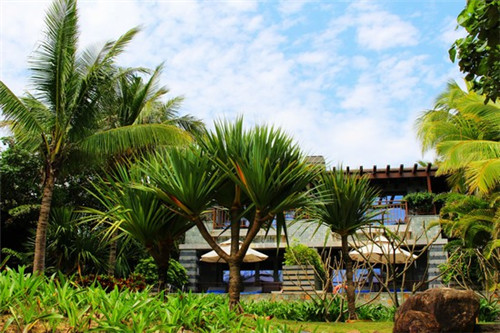 开桌游店算创业吗