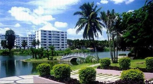 潞西市开店2025透气尿不湿连锁店什么品牌有优势