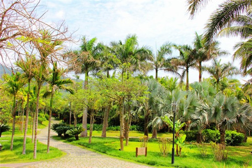 面总管加盟费多少