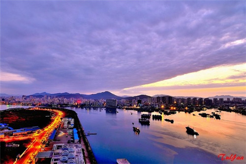 犁牛之子的近义词（梨牛之子猜一动物）